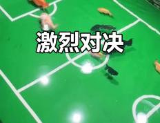 PG电子游戏-精彩对决引爆热情，球场欢腾