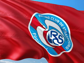 PG在线网站-帕尔梅拉斯重点培养年轻力量，迎战强敌有备无患