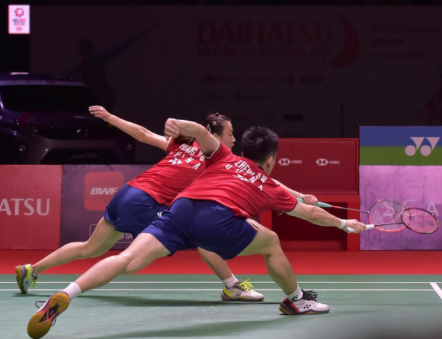 PG电子线上登入-法国队翻盘德国队，郑思维统治全场的简单介绍